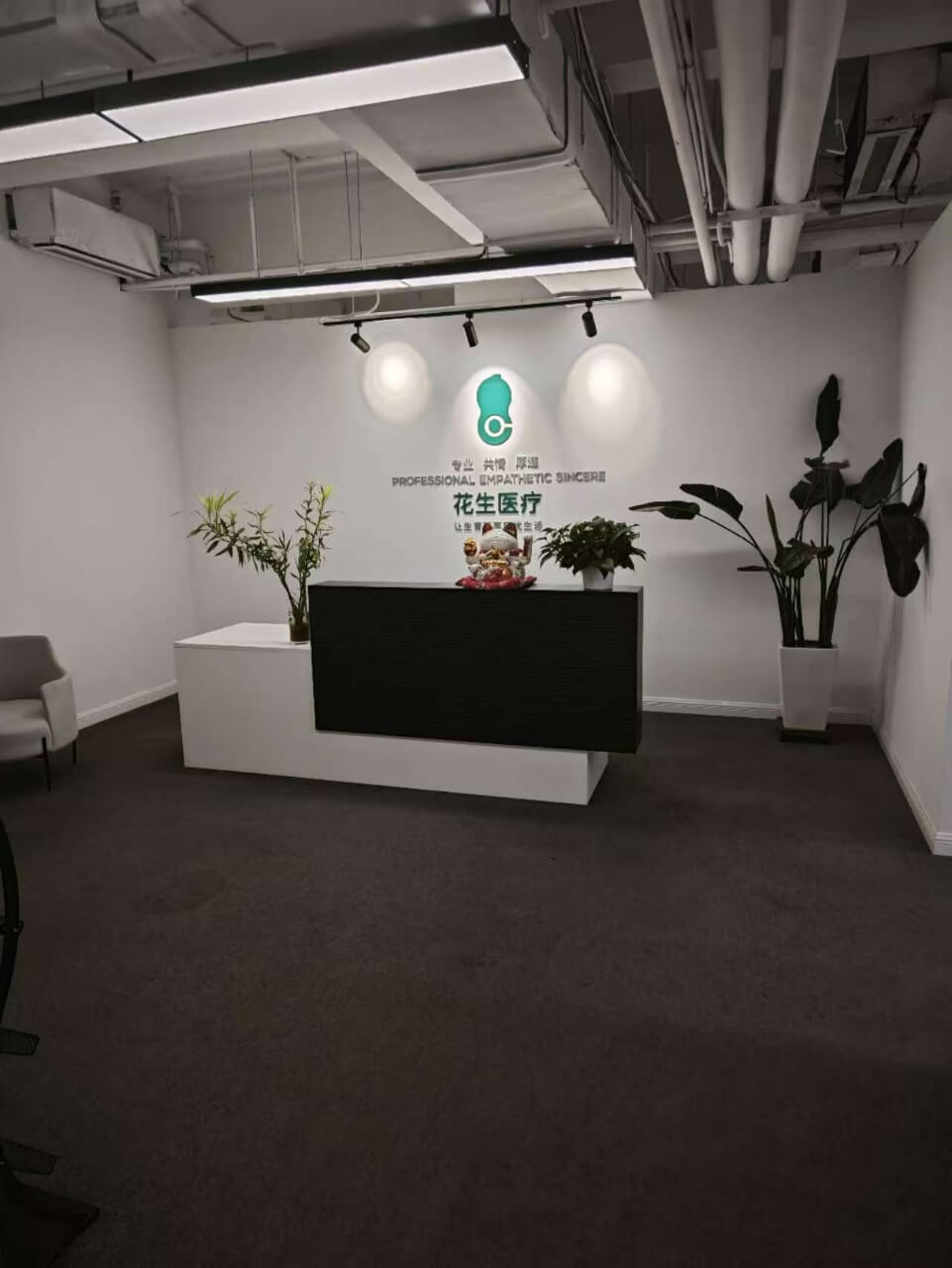 电子城IT产业园        500平米办公室